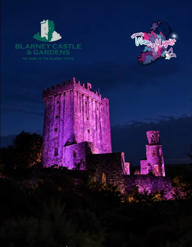 Blarney Castle at night, the tower glowing pink and purple above dark trees